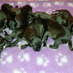 1week3